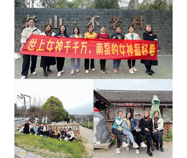 网站2.jpg